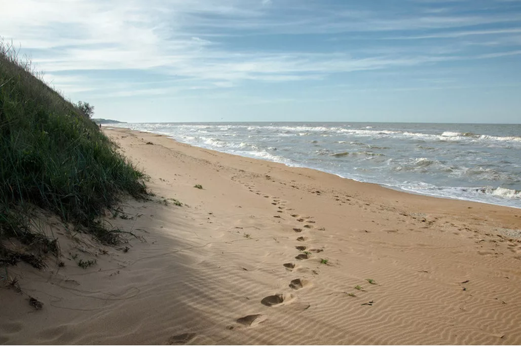 Кучугуры краснодарский фото поселка и пляжа. Пляж Кучугуры Азовское море. Поселок Кучугуры на Азовском море. Кучугуры берег Азовское море. Кучугуры Краснодарский край дикий пляж.