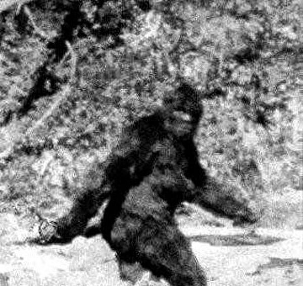 Тот самый Big Foot