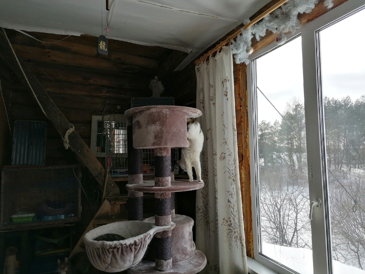 Один из подарков 