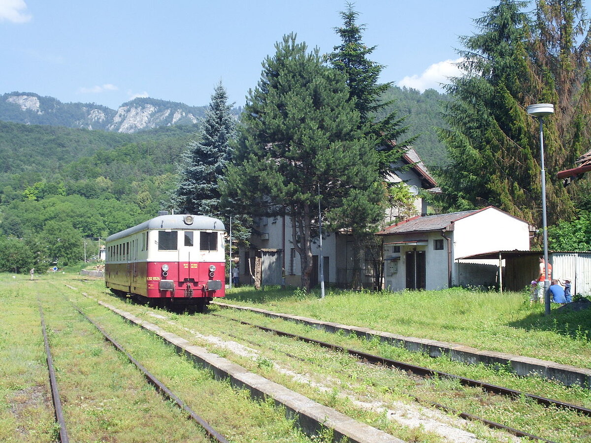 Конечная станция Мурань (Muráň), М262-014, музейный состав, фото Jan Pesula, источник https://sk.wikipedia.org/wiki/%C5%BDelezni%C4%8Dn%C3%A1_tra%C5%A5_Ple%C5%A1ivec_%E2%80%93_Mur%C3%A1%C5%88#/media/S%C3%BAbor:Muran_train_station_M282.JPG