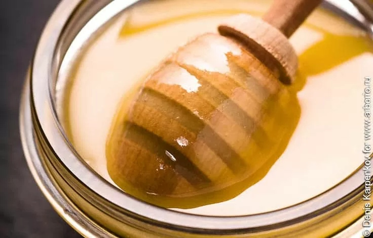 Готовьте с мёдом и ничего не бойтесь!