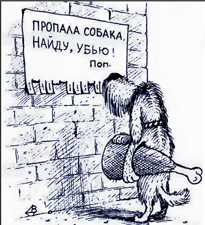 Анекдот пропало. Собака карикатура. Карикатура пропала собака. Анекдоты про собак. Карикатура потерялась собачка