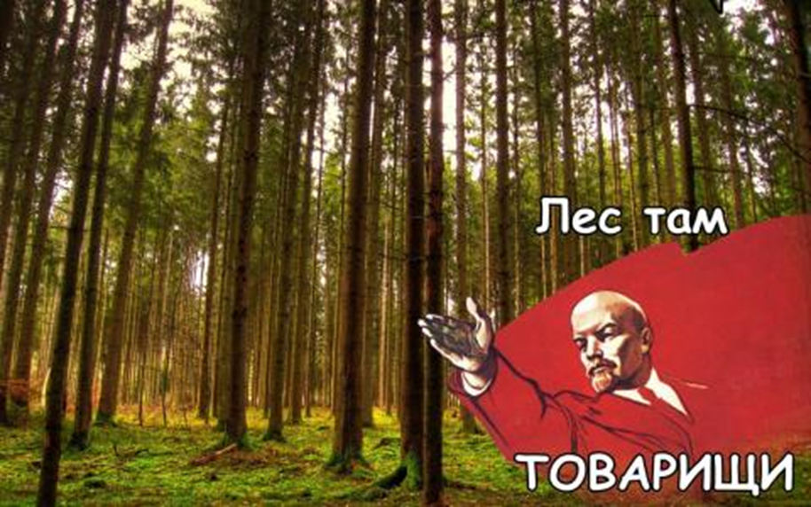 Там на картинке