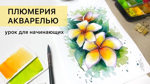 🎨РИСУЕМ ЦВЕТЫ АКВАРЕЛЬЮ. Скетчи для начинающих. Рисование с нуля