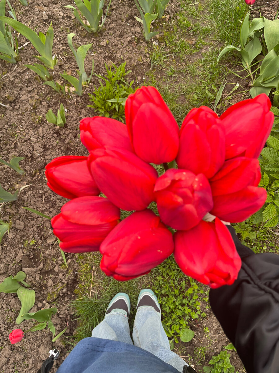Цветущий май🌸