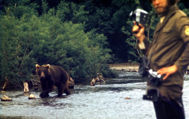 Иллюстрация к произведению "Бурый "Буровой". Взята из свободных источников.