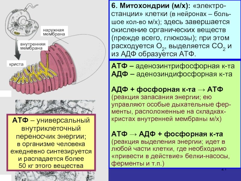 Почему подростки кончают жизнь самоубийством