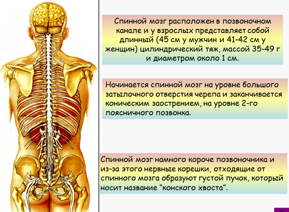 из общедоступных источников