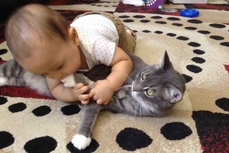 «Друзья навеки», - 15+ трогательных кадров любви между ребенком и ...