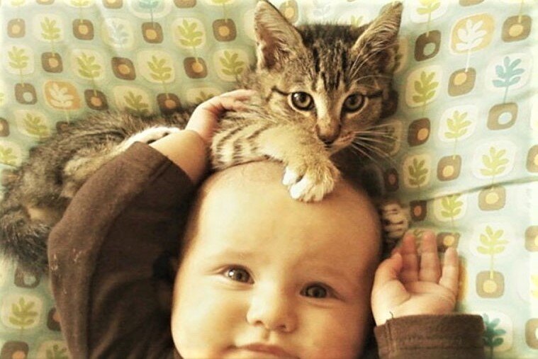 «Друзья навеки», - 15+ трогательных кадров любви между ребенком и ...