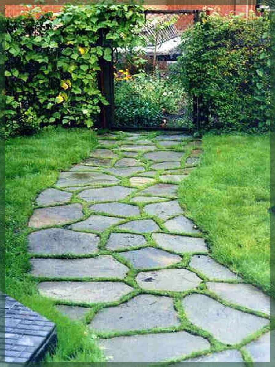 Путеводное время создателя