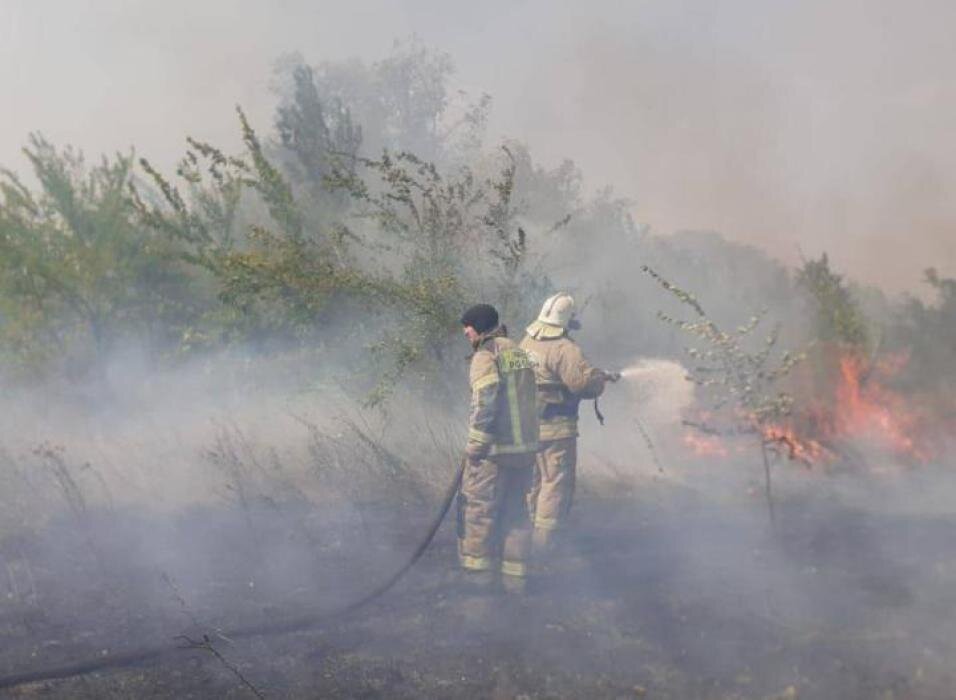 Фото: пресс-служба МЧС по Ростовской области   