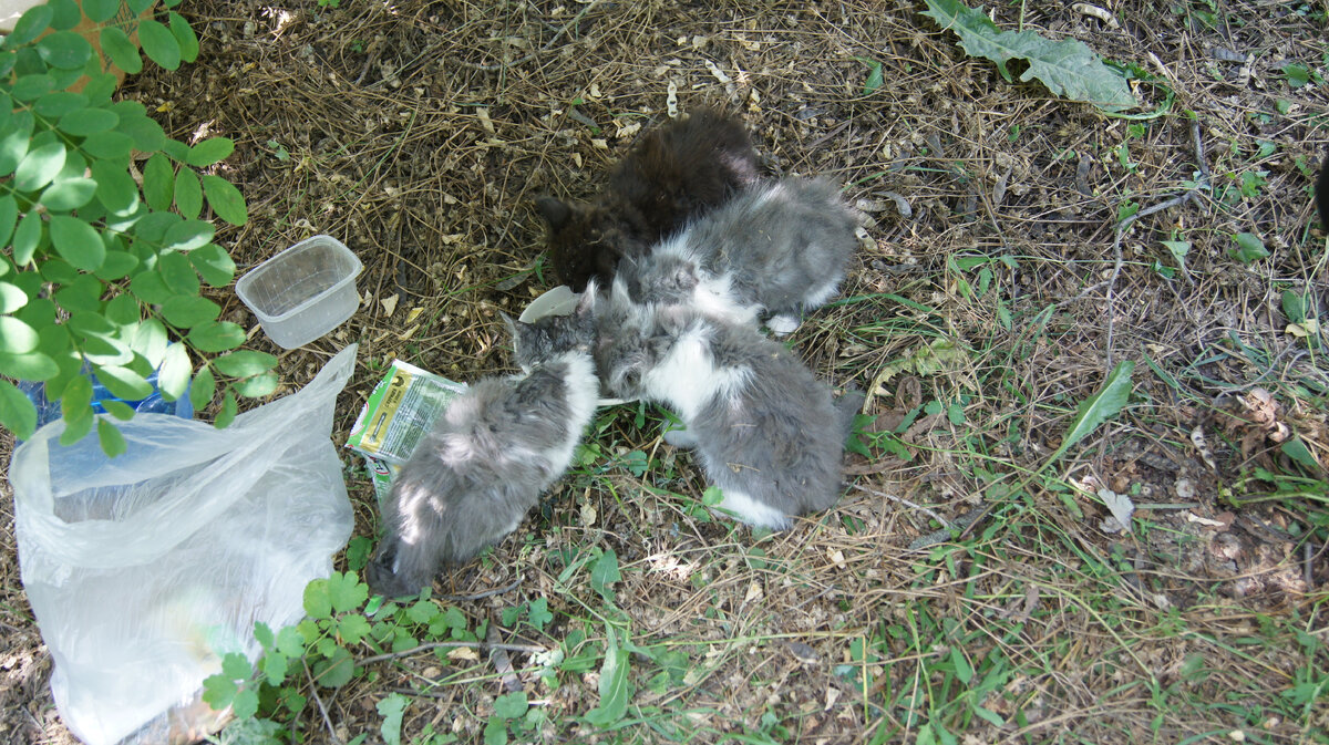 Фото автора. Даже не думала, что сохранила эти фото