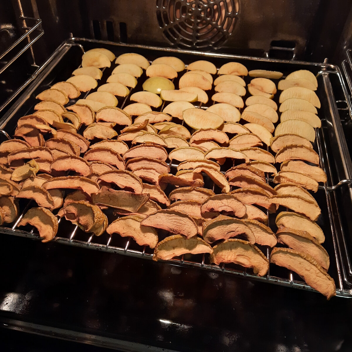 Фото: Соболева Елена Сергеевна 