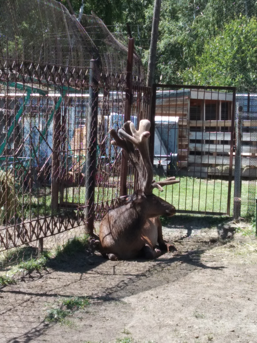 Я календарь переверну… и снова осень! Но даже в столь поэтично-меланхоличное время года путешествовать стоит, в России и сейчас можно посетить немало шикарных мест, где правит истинное бабье лето.-2