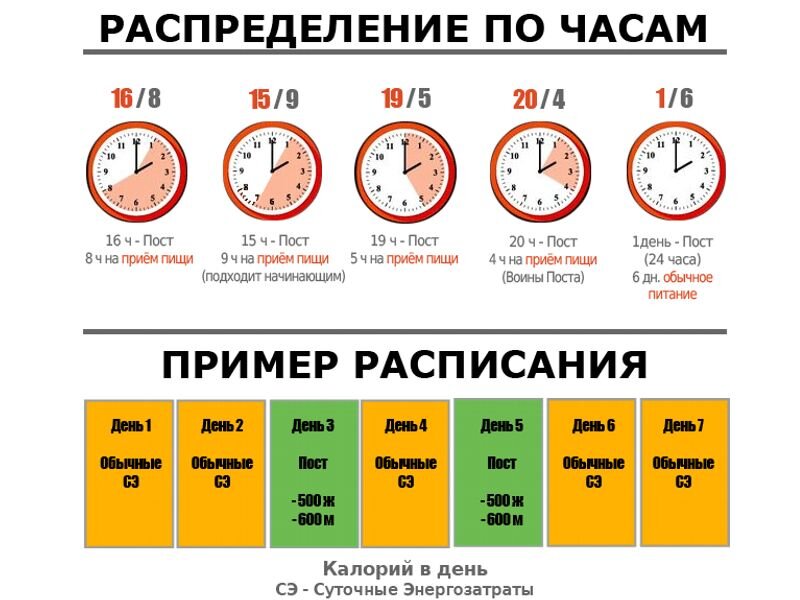 Вопросы к странице ГДЗ Биология 8 класс Учебник Драгомилов, Маш (решебник) - GDZwow