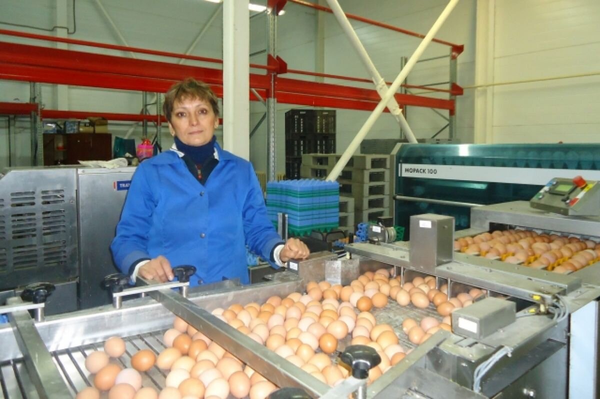    На 10% увеличилась выработка яиц и мяса на нижегородской птицефабрике