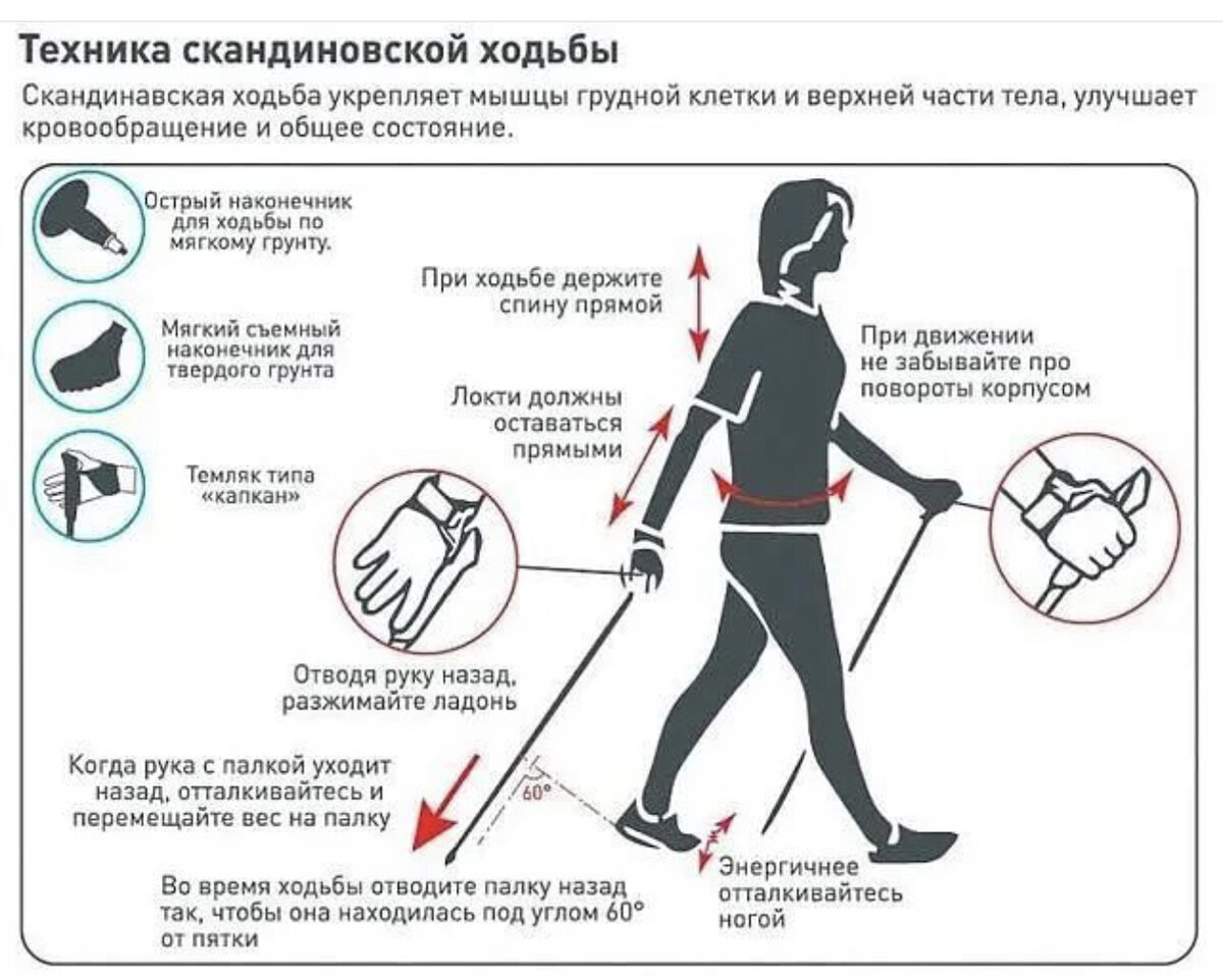 Как правильно ходить с палками для скандинавской ходьбы