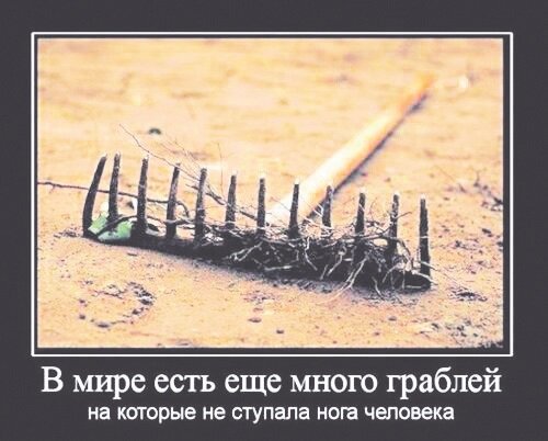 Яндекс.Картинки.