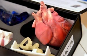    Фото: rus.lsm.lv. Татьяна Дворянчикова