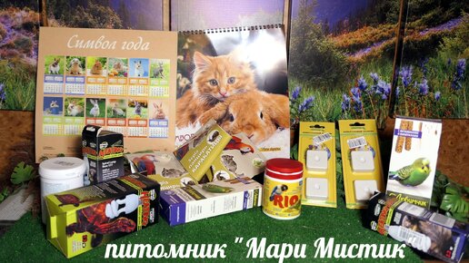 ОГРОМНАЯ КОРОБКА ПОКУПОК #ОБЗОР_зоотовары для ПТИЦ, КОТА, ГРЫЗУНОВ, РЕПТИЛИЙ 14/10/2022 #ozon #triol