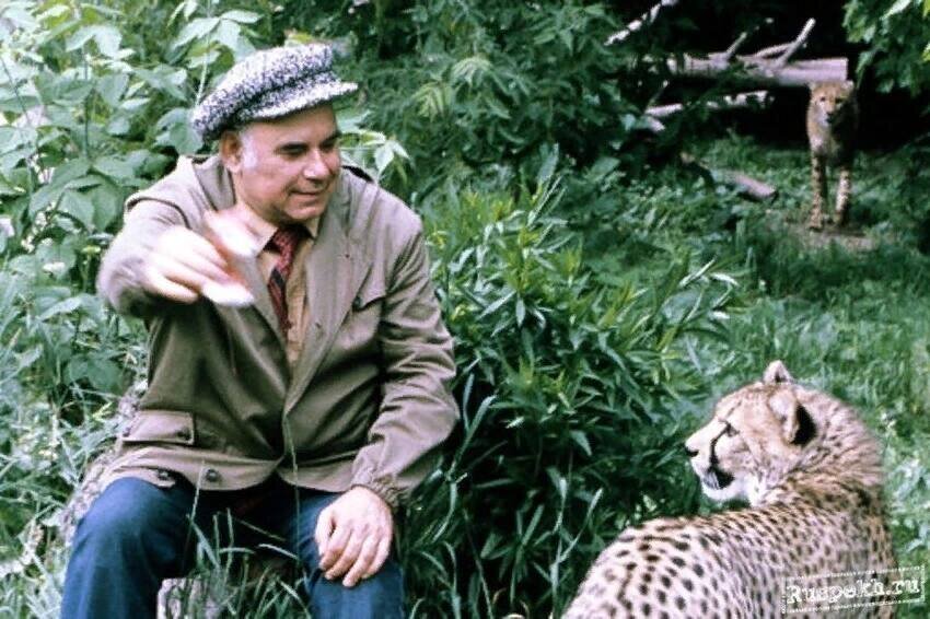 Песков ведущий в мире животных. Песков ведущий в мире животных. Кто раньше вел в мире животных. Кто раньше вел в мире животных. Кто раньше вел в мире животных.