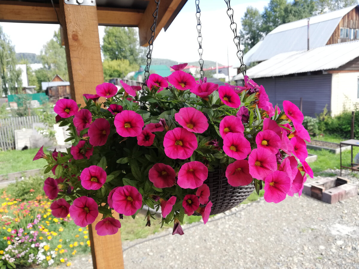 Купить подвесные корзины для цветов - Consta Garden интернет-магазин