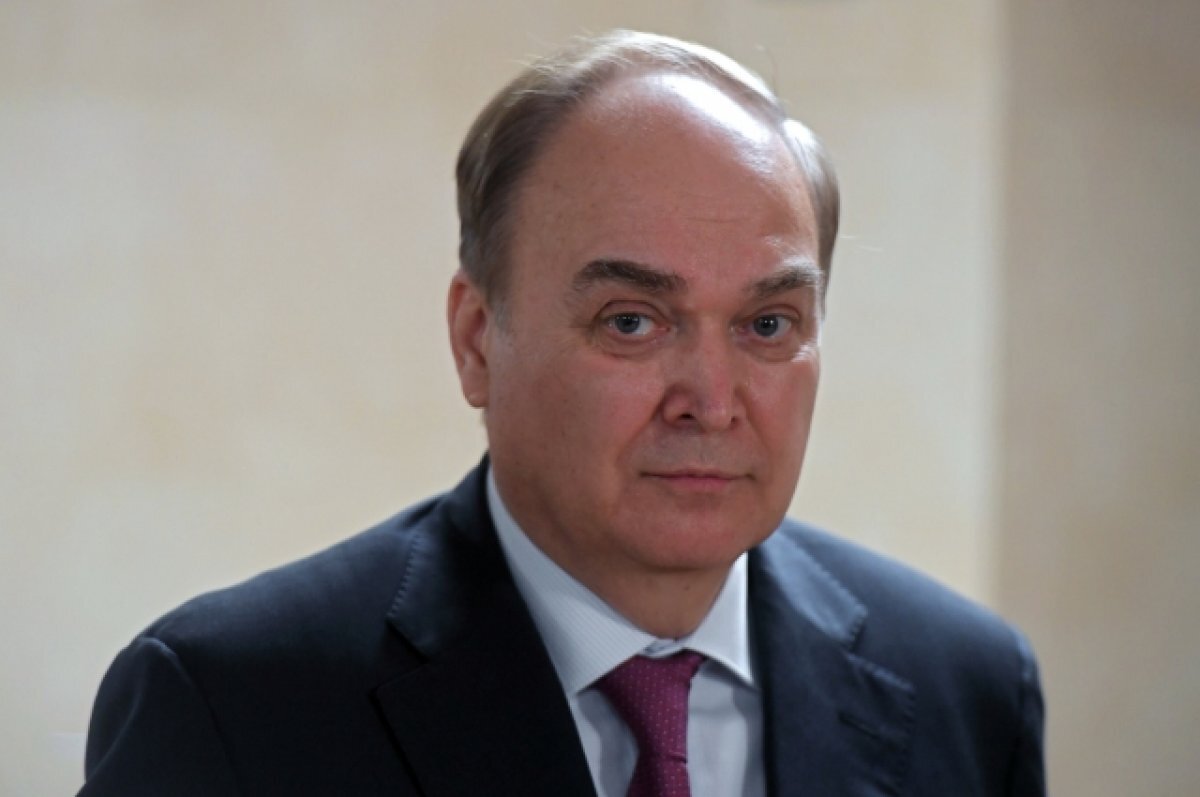    Антонов ответил на обвинения в адрес России по «зерновой сделке»
