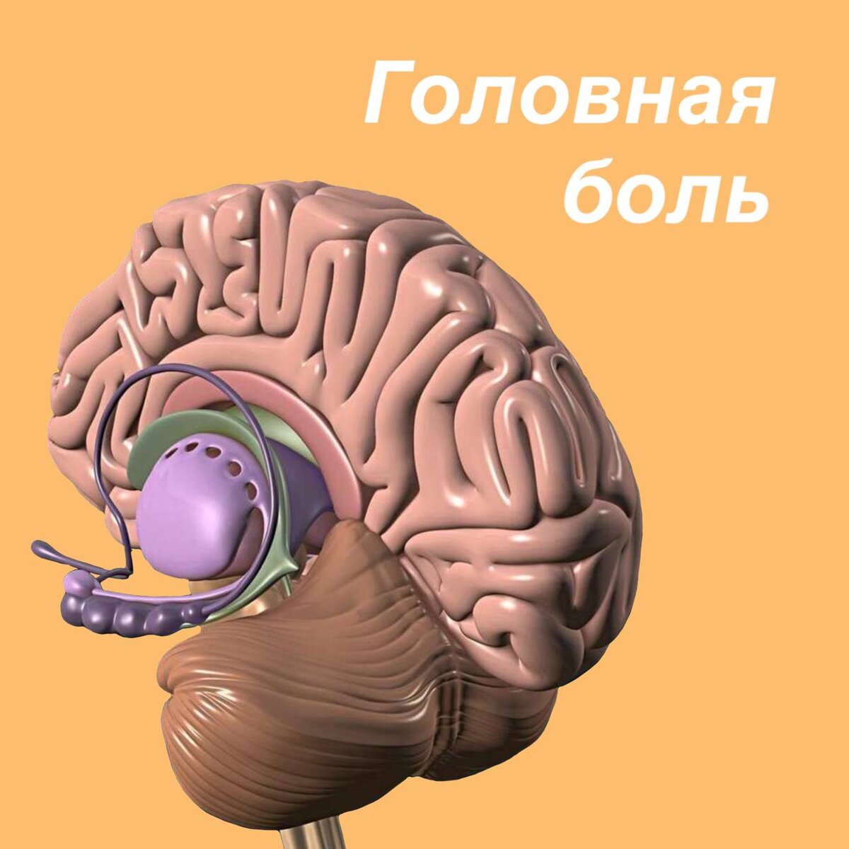 Головная боль бывает очень разной. Кому-то она доставляет минимум  дискомфорта, кого-то выбивает на часы [а то и дни] из нормальной жизни. |  НАУЧНЫЙ 🔬ПОДХОД К ЙОГА ПРАКТИКЕ | Дзен