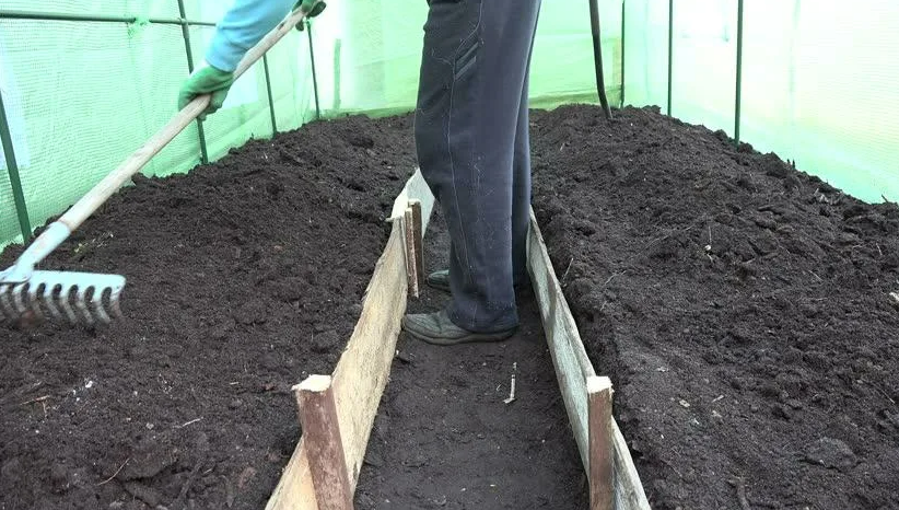 Фотография взята из источника gribyogorod.info