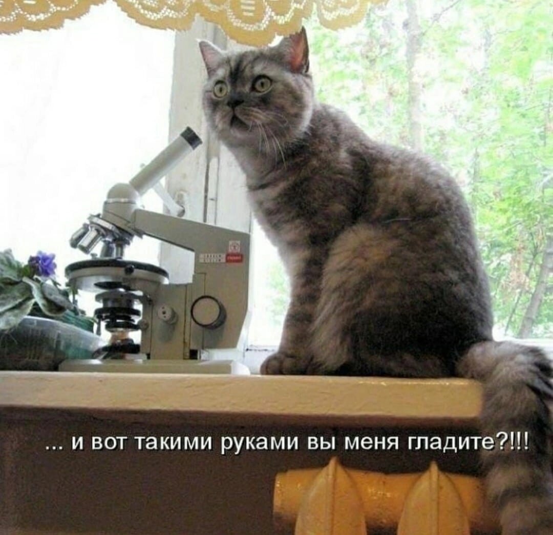 Посмеялся сам - поделись с другом!!!