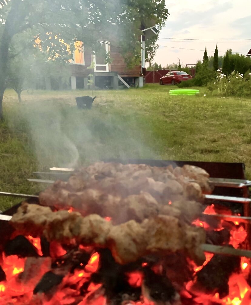 МЧС снова разрешило дачникам жарить шашлыки и жечь листву.