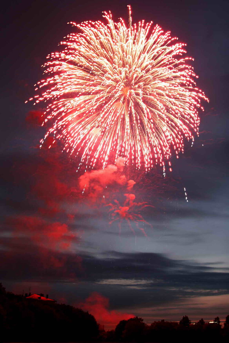 Фото из открытых источников.