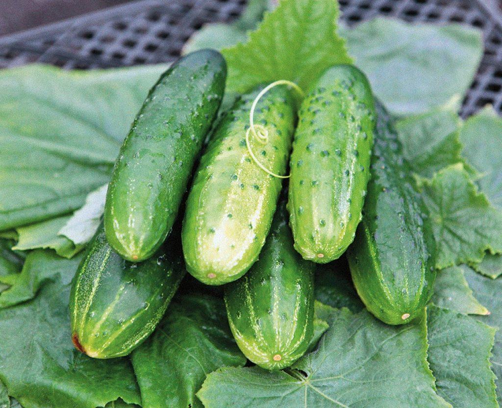 Фотоне мое но красиво. фото из интернета