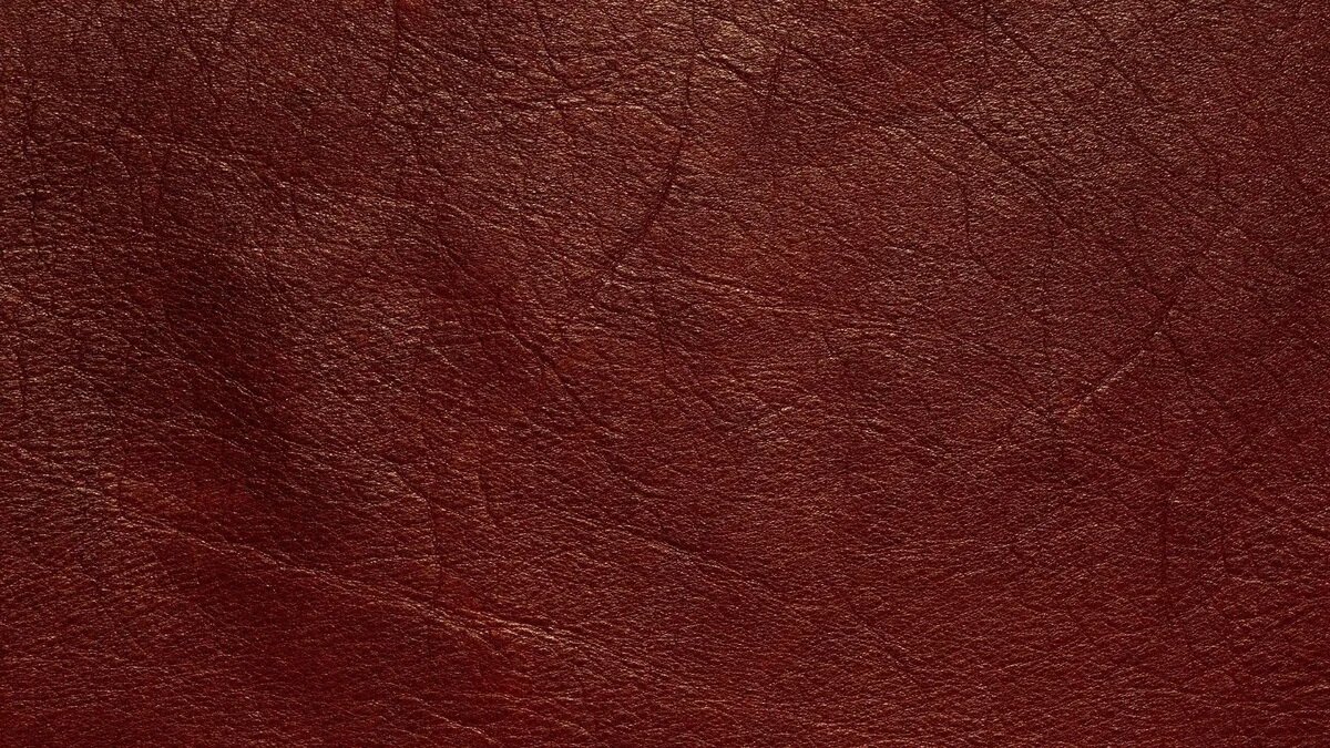 Реальная кожа у динозавров была примерно такого цвета