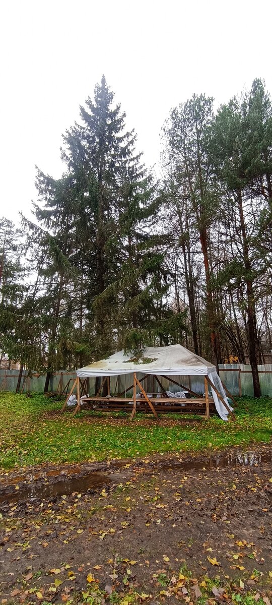 Даже беседка наша еще стояла