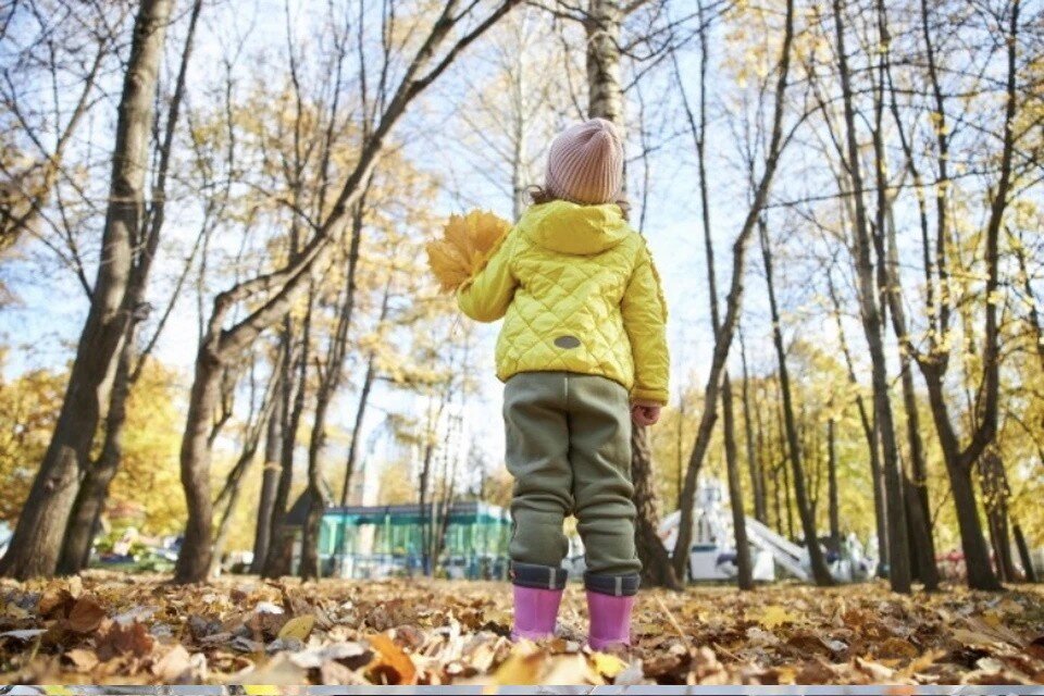     Синоптическая ситуация в столичном регионе будет определяться восточной периферией антициклона Николай ОБЕРЕМЧЕНКО