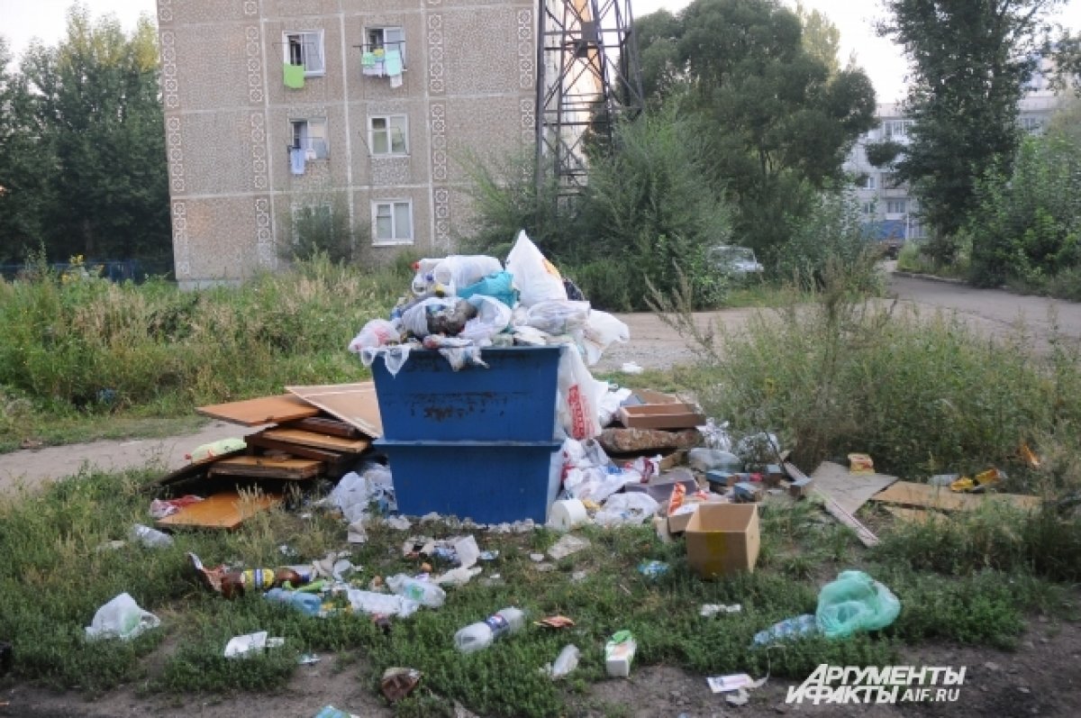    Брат донского депутата занялся сбором мусора в Ростовской области