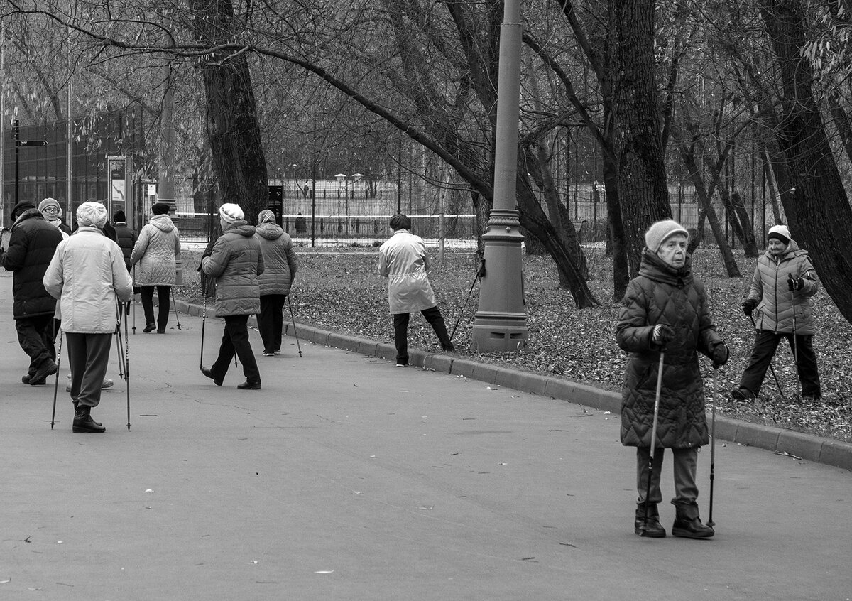 Броуновское движение в Москве, ноябрь 2022. Canon PowerShot G5X Mark II; 120 mm; 1/400; f/5,0; ISO 400.