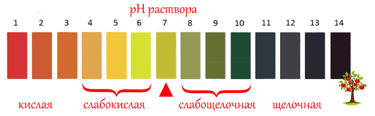 Кислотность почвы для клубники. Кислотность почвы лакмусовая бумажка. Как определить кислотность почвы с помощью лакмусовой бумаги. Как измерить кислотность почвы лакмусовой бумагой. Лакмусовая бумага таблица цветов с названиями.