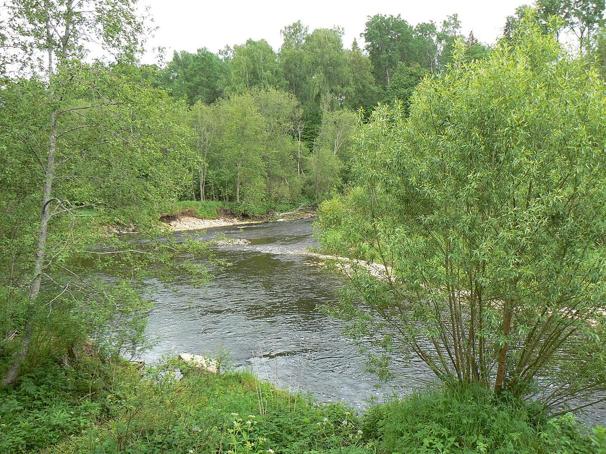 Река Тьма, на берегу которой писал свои этюды к картине Левитан