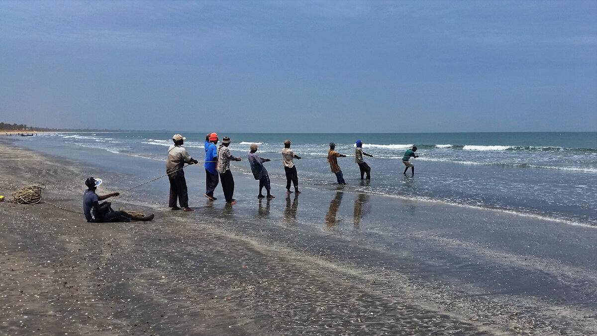 Тянем-потянем. Рыбаки