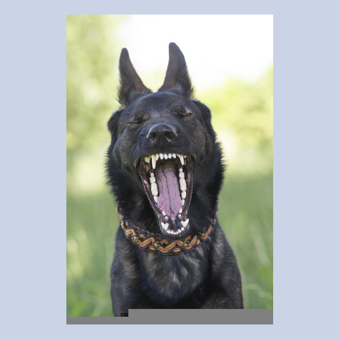 Ужас. Хозяйка обещала группу по параанальным синусам создать. Я точно не  пойду. Людям то что. У них же нет никаких параанальных синусов. У них же геморрой.