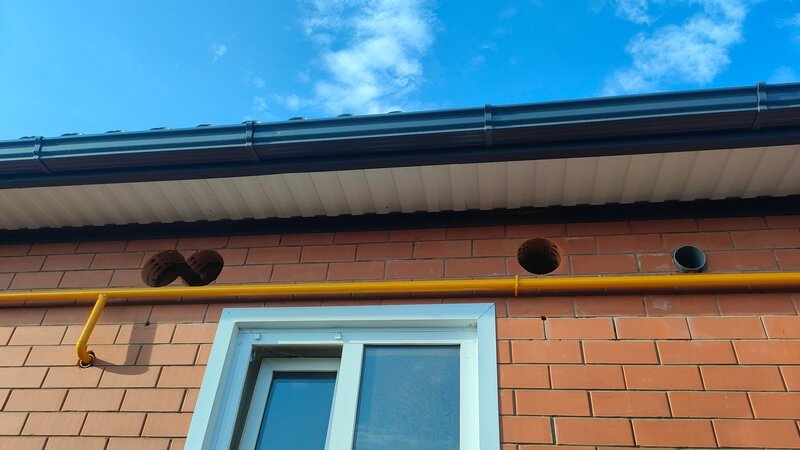 Думал, что Василич пенделями меня со двора выгонит, когда услышал ...