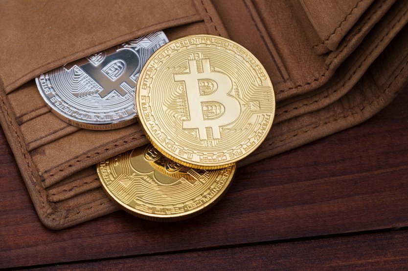 Кошелек с биткоинами 