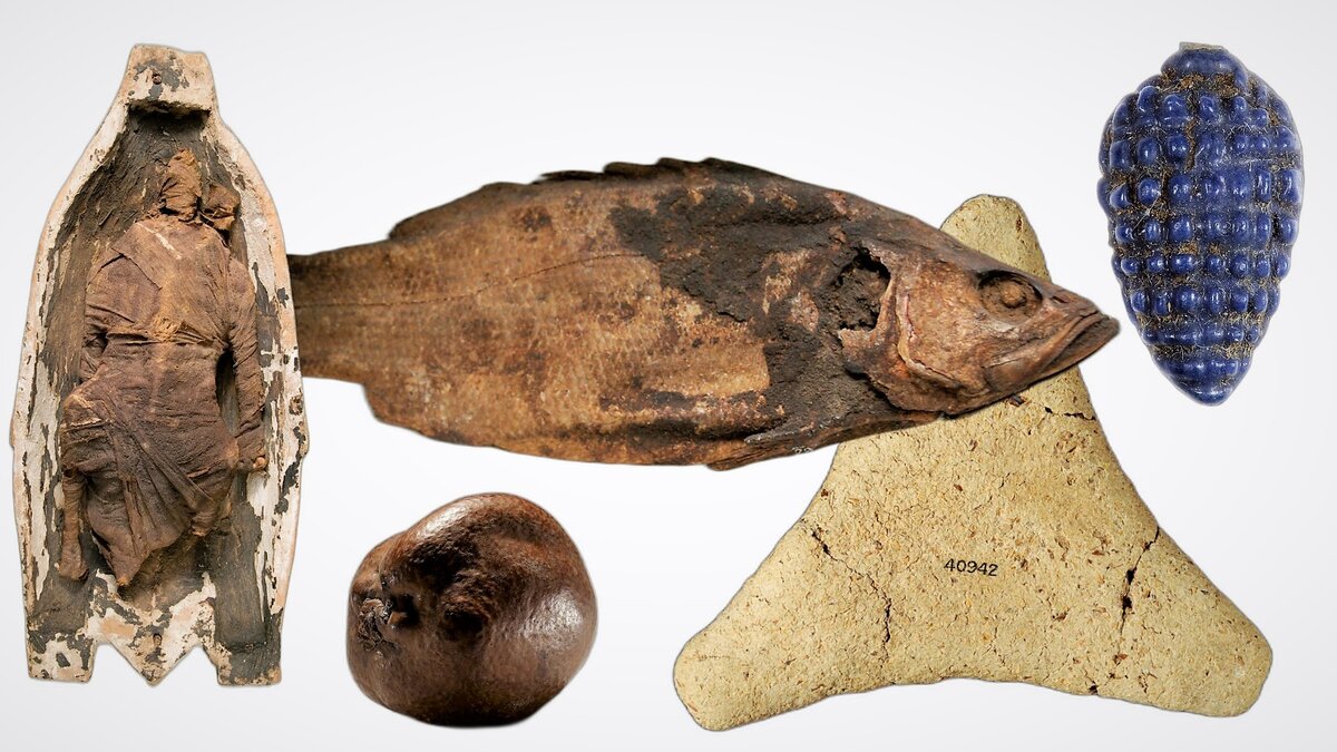 Чем ели в древности. Изображения еды рыбы мяса в захоронения древних египтян. Гусерыб. Рыба Гусь. Из чего пили и ели в древности.