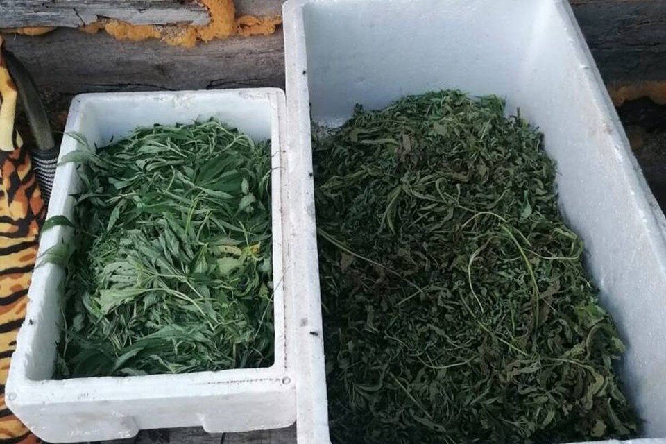     В ближайшее время суд вынесет приговор нарушителю. Фото: пресс-служба ОМВД России по Чугуевскому округу.