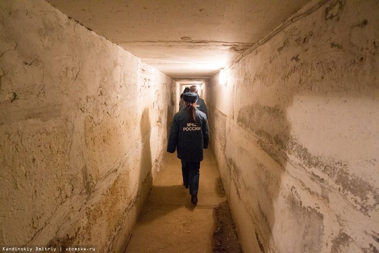    Фото: Дмитрий Кандинский / vtomske.ru