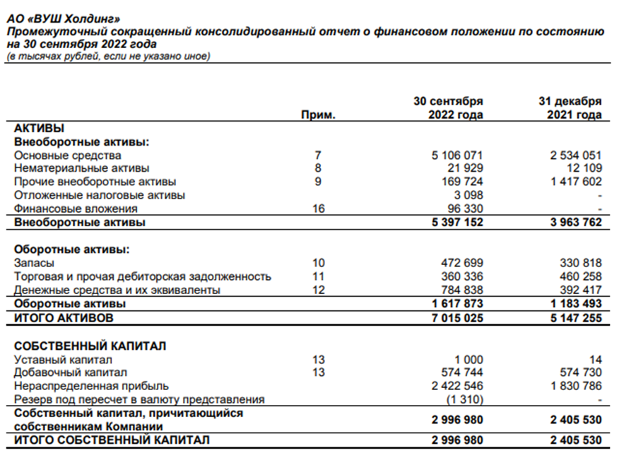  Рис. 1. Баланс Whoosh. Источник: отчётность МСФО компании
