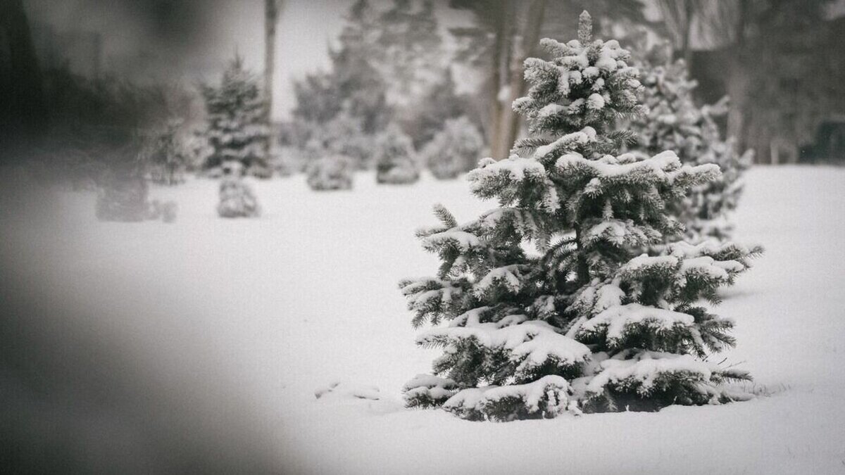     В областной столице к концу недели ожидаются снегопады и сильный ветер, сообщает Гисметео. По информации синоптиков, 10 и 11 декабря в Тюмени выпадет почти 4 мм осадков, атмосферное давление будет выше нормы.